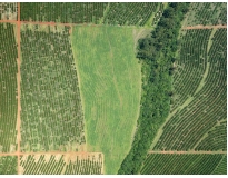 drones para georreferenciamento na Corrupira